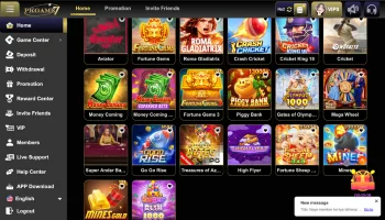 pKgame7