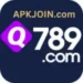 q-789-game