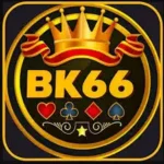 bk66-game